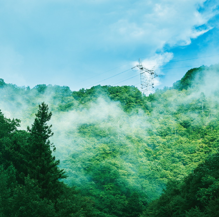 上野村 風景